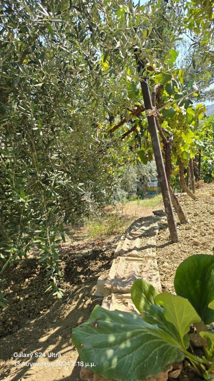 בראט Rama Guest House מראה חיצוני תמונה